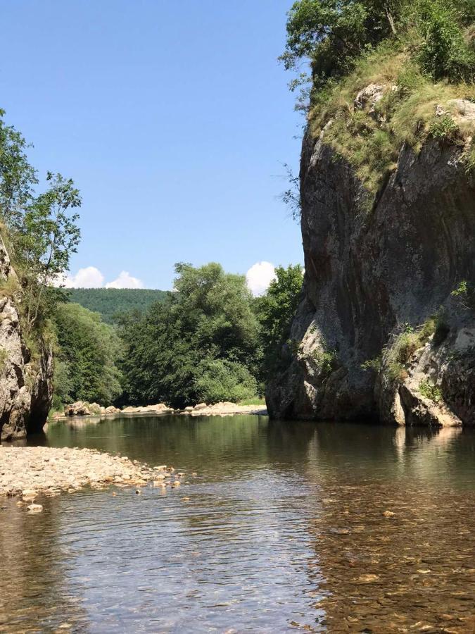 Odmaraliste Vlasko Zdrelo Pirot Extérieur photo